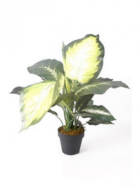 Dieffenbachia grün 50 cm | Kunstpflanze im Topf