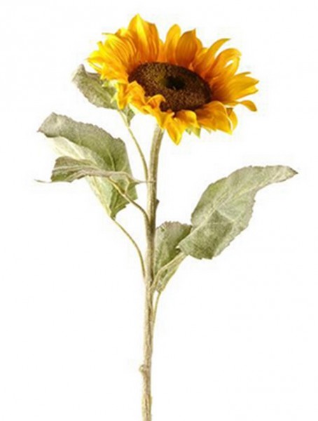 Sonnenblume 80 cm | Kunstpflanze Sunflower