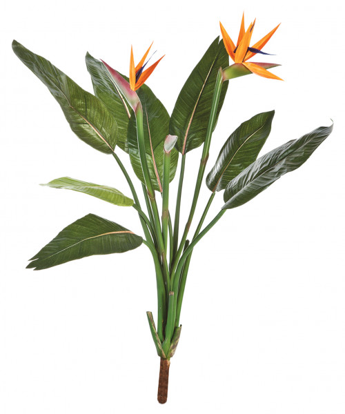 Strelitzia Stiel 100 cm | Strelizien Kunstpflanze