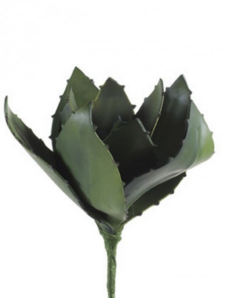 Aloe 20 cm | Kunstpflanzen Strunk