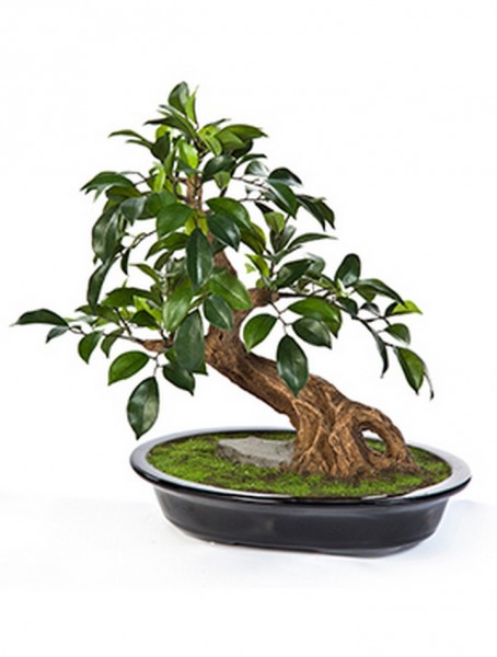 Ficus folia - Kunstbonsai 40 cm