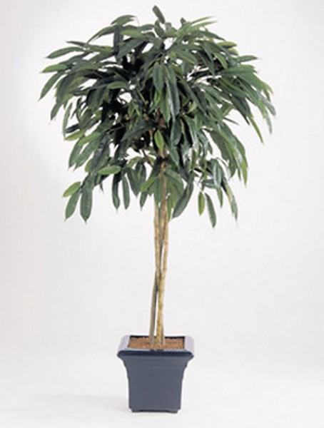 Ficus Longifolia 180 cm | Kunstbaum