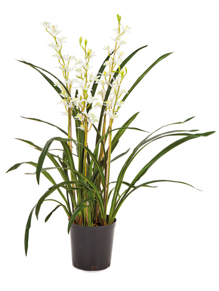 Cymbidium wild weiß 95 cm | Orchideen Kunstpflanze