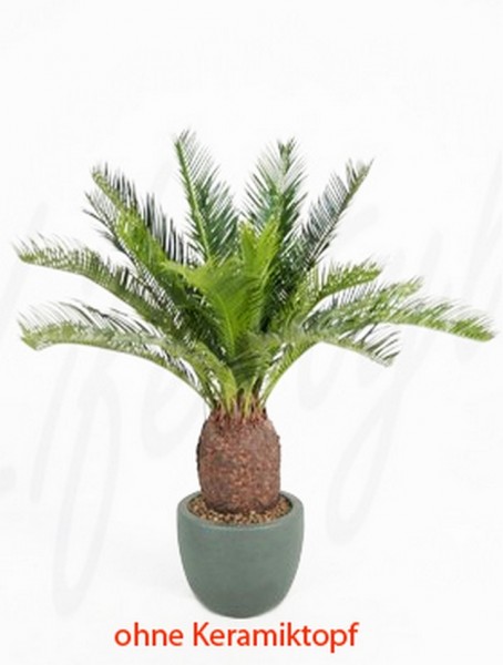 Cycas revoluta 60 cm - künstlicher Palmfarn