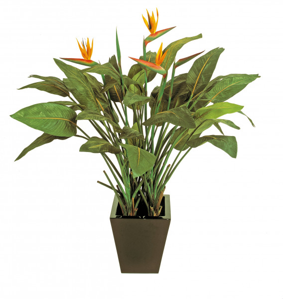 Strelitzia mit Blüten 130 cm - Strelizien Kunstpflanze
