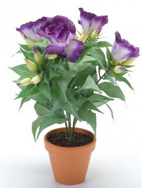 Lisianthus lila 11 cm | Tulpenrose Kunstpflanze im Topf