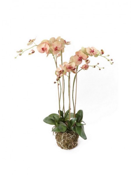 Phalaenopsis Old pink Kunstpflanze im Moosbalen 90cm