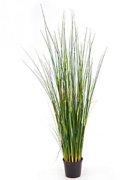 Bamboo wild grass - Kunstgras