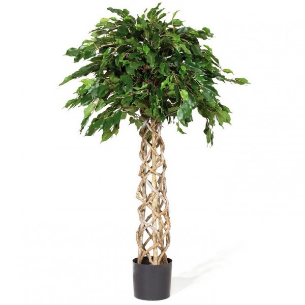 Ficus Exotica Kugel 150 cm - Kunstpflanze
