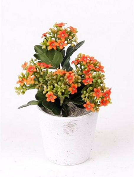 Saintpaulia ionantha weiß 8 cm | Usambaraveilchen Kunstpflanze im Topf
