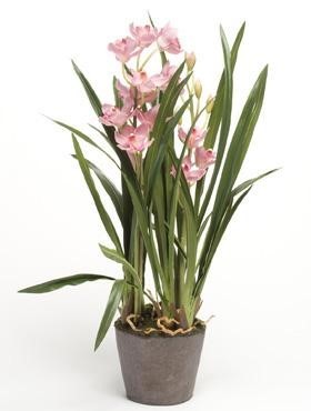 Cymbidium Rosa 75 cm - Orchideen Kunspflanze
