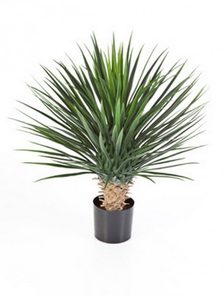 Yucca rostrata Deluxe 80 cm - Kunstpalme