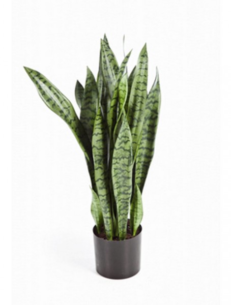 Sansevieria 80 cm - Kunstpflanze