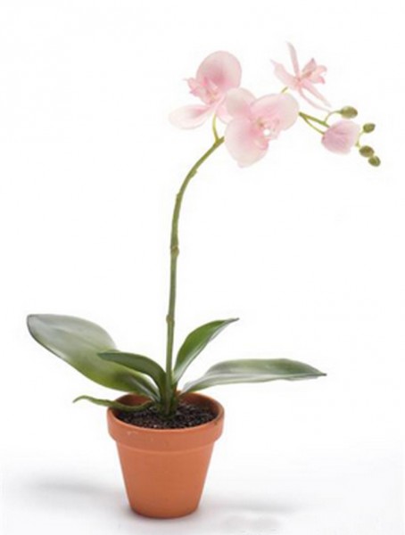 Phalaenopsis rosa 45 cm | Orchideen Kunstpflanze im Topf