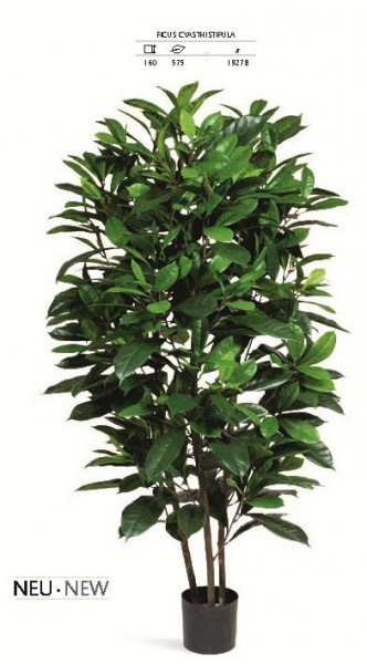 Ficus Casthipula 160 cm - Kunstpflanze