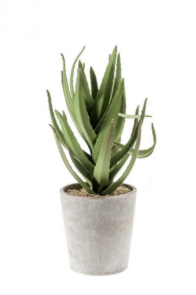 Aloe Kunstpflanze 52 cm im Cementtopf