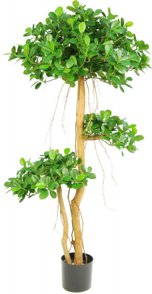 Ficus panda 122 cm Bonsai Kunstpflanze