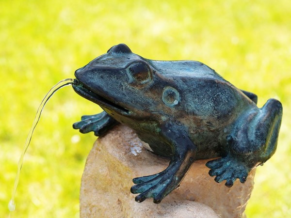 Wasserspaier-Frosch-Bronzefigur