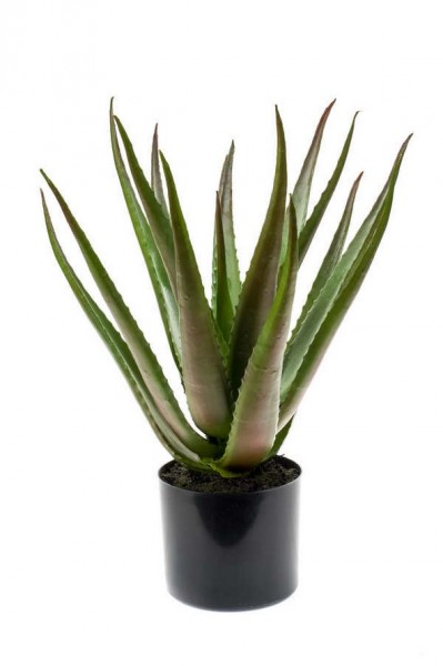 Aloe Kunstpflanze 50 cm