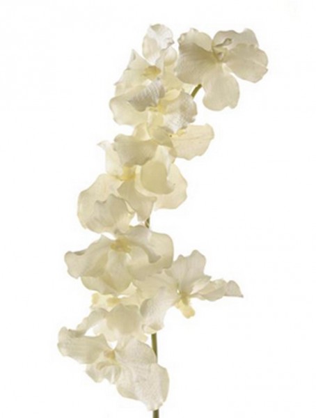 Vanda Zweig weiß 100 cm | Orchideen Kunstpflanze