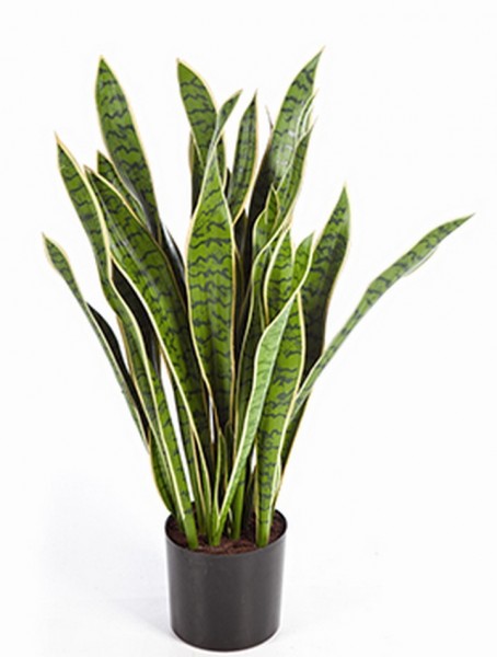 Sansevieria laurentii 93 cm - Kunstpflanze