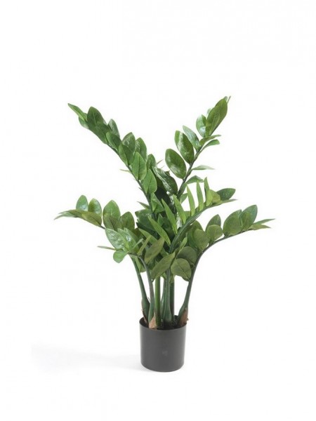 Zamioculcas 70cm Glücksfeder Kunstpflanze