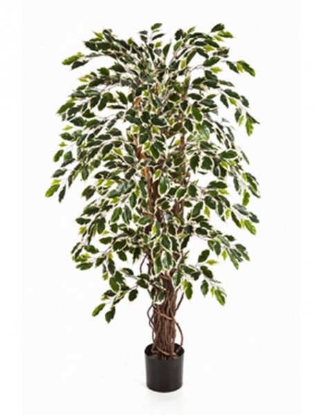 Ficus liane var | Kunstbaum