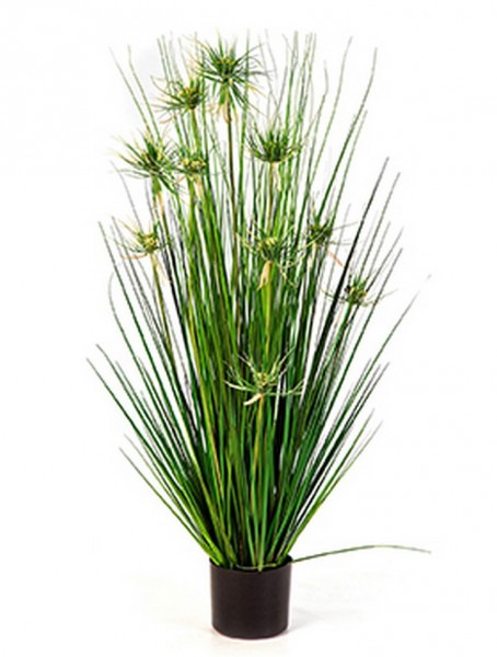 Onion star grass - Kunstgras 105 cm