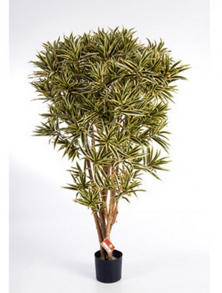 Dracaena reflexa india 145 cm - Kunstbaum