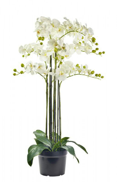 Phalaenopsis - Orchideen Kunstblume 107 cm