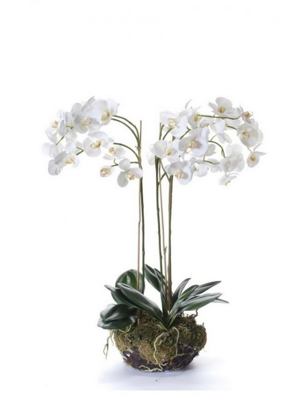 Phalaenopsis weiß X3 - Orchideen Kunstblume 80 cm