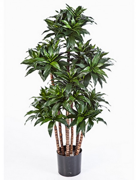 Dracaena fragrans compacta 120 cm - Kunstbaum