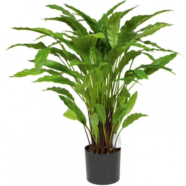 Calathea Kunstpflanze 85 cm