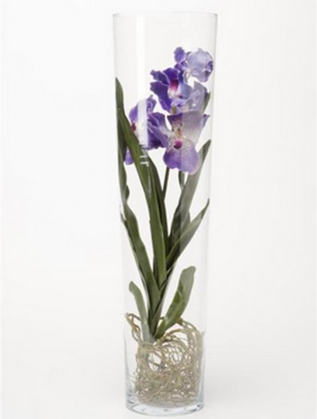 Vanda blau 70 cm | Orchideen Kunstpflanze im Glas