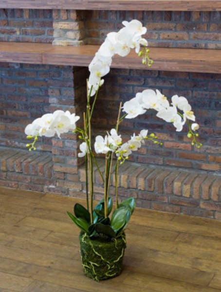 Phalaenopsis moss white 130 cm | Orchideen Kunstpflanze