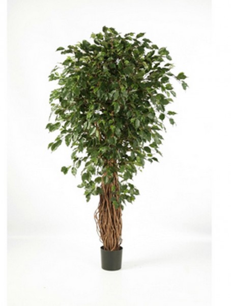 Ficus liane exotica | De Luxe Kunstbaum
