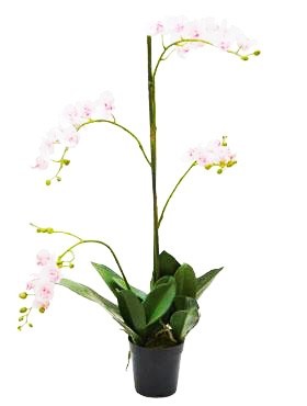 Phalaenopsis 75 cm Rosa - Orchideen Kunstpflanze