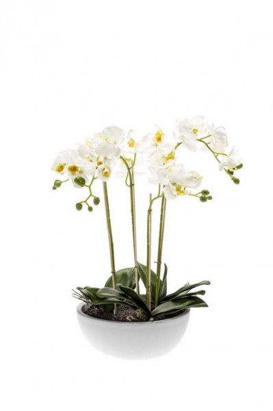 Phalaenopsis weiß Kunstpflanze 60cm in weißer Schale