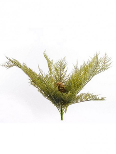 Forest fern 50 cm