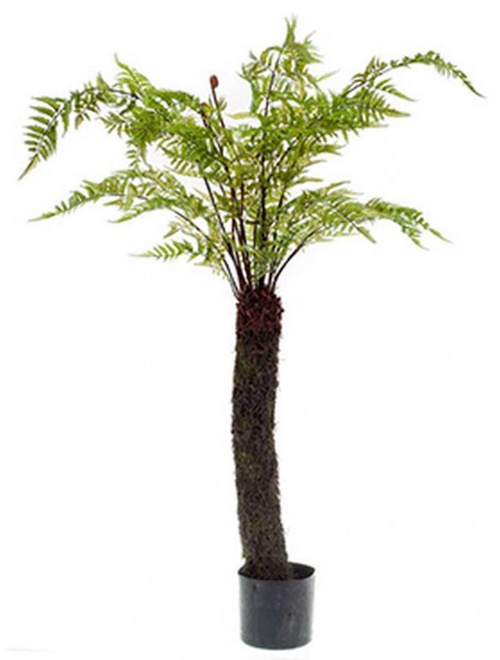 Dicksonia antartica 145 cm - Baumfarn Forest Farn Kunstpflanze