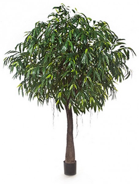 Longifolia royal cabana 270 cm - Kunstbaum