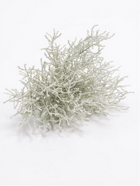 Calocephalus 20 cm | Stacheldraht Kunstpflanze