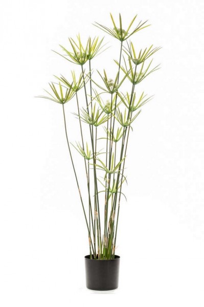 Cyperus grün 120 cm - Kunstpflanze